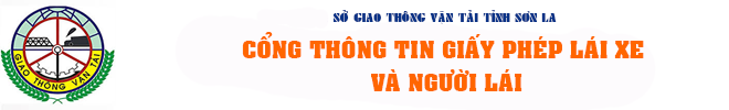 Giấy phép lái xe